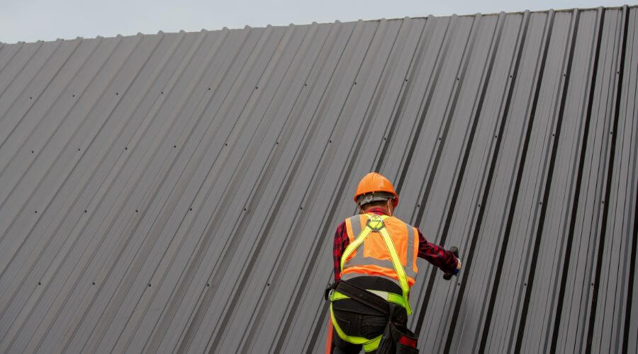 Professional gutter cleaning in Lydia, SC